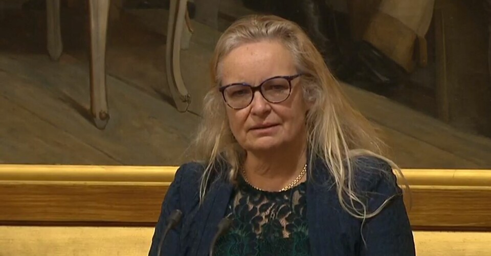Stortingsrepresentant Ruth Grung (Ap) Foto: Stortinget