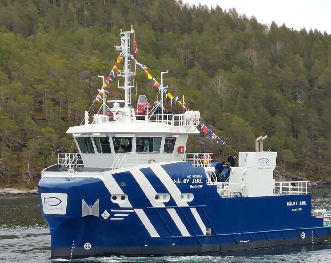 «Håløy Jarl» er den fjerde båten i Håløy Havservices flåte Foto: Sletta Verft «Håløy Jarl» er den fjerde båten i Håløy Havservices flåte Foto: Sletta Verft