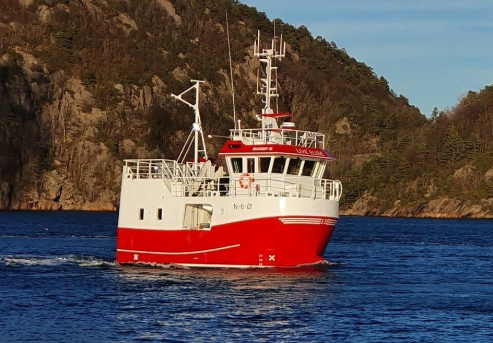 Knapt 11 meter lange «Live Elise» er levert til Sørholmen AS fra GOT Skogsøy.
