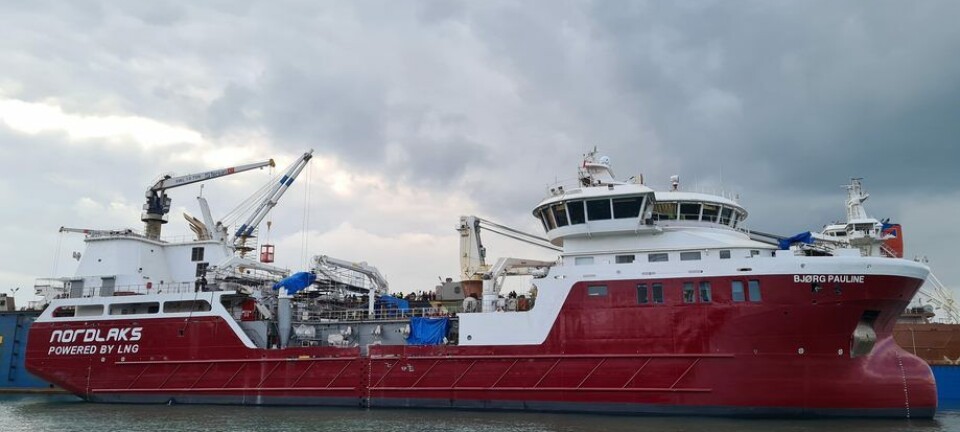 MS «Bjørg Pauline»