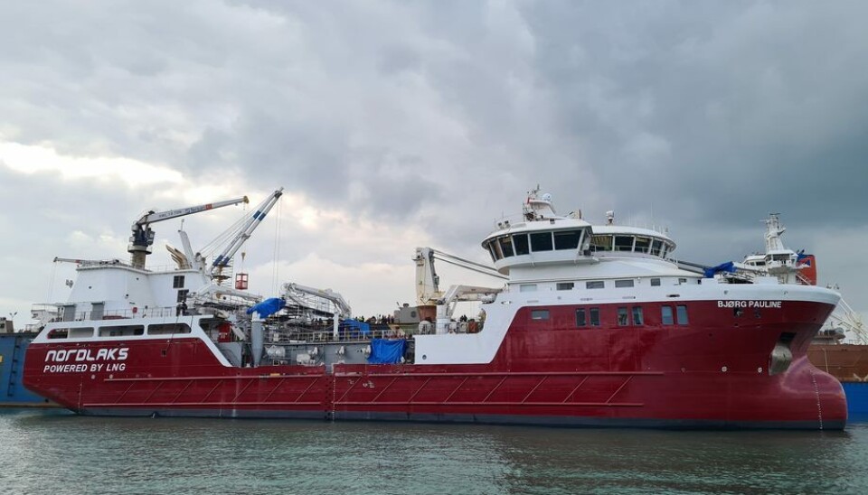 «Bjørg Pauline» er bygget ved Tersan Shipyard for Nordlaks. Foto: Tersan Shipyard «Bjørg Pauline» er bygget ved Tersan Shipyard for Nordlaks. Foto: Tersan Shipyard