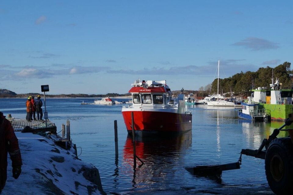 Vikafjord er Folla Maritimes byggenummer 68, og ble overlevert til Refsnes Laks i mars. Foto: Folla Maritime