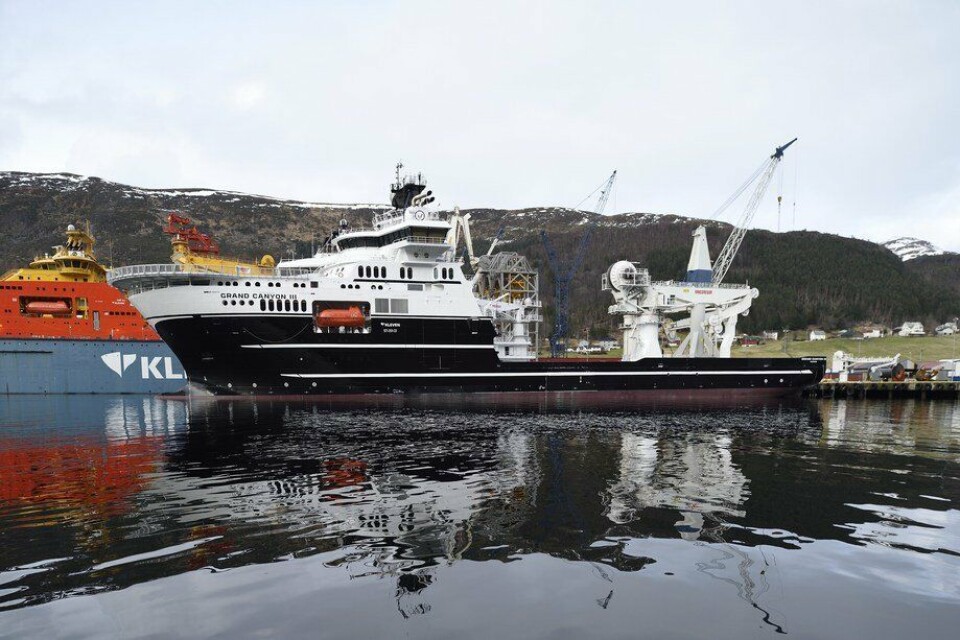M/S 'Grand Canyon III'