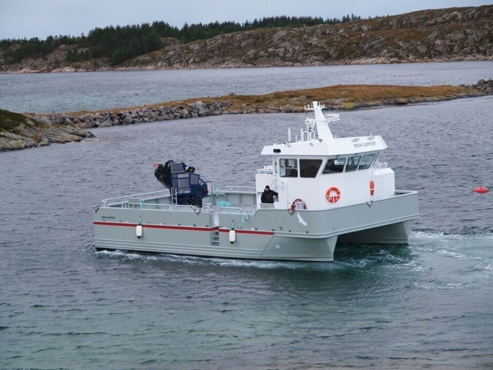M/S Ervik Support