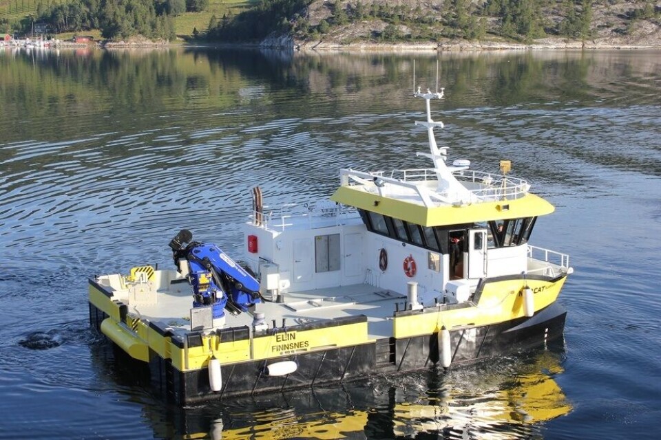 M/S Elin