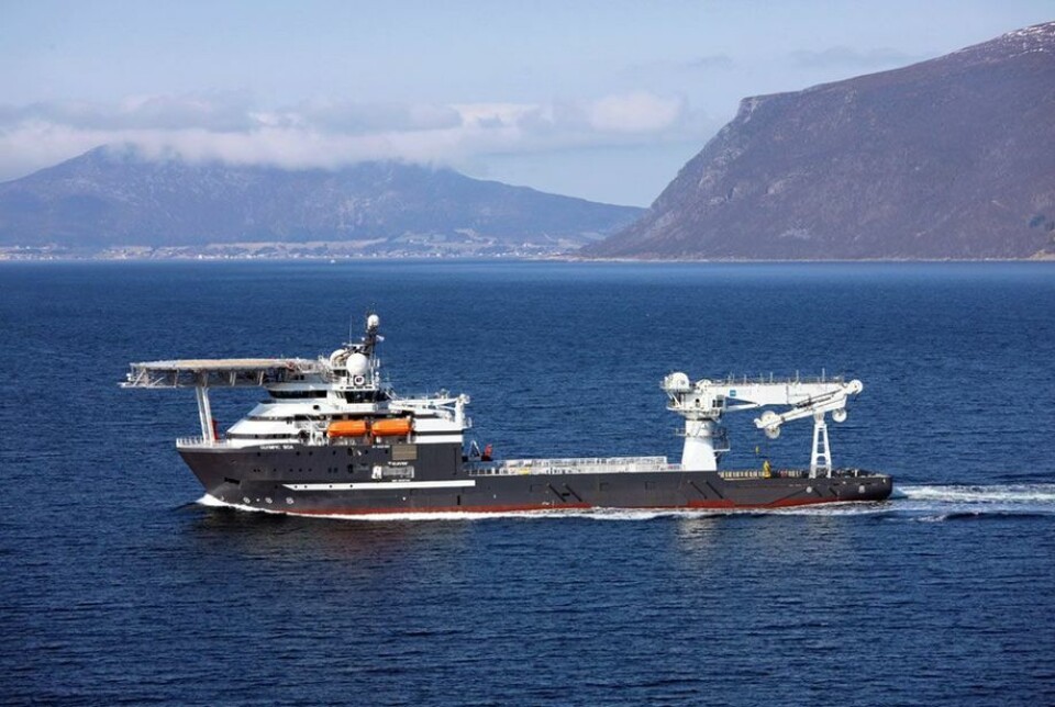 (Foto: Harald Valderhaug)