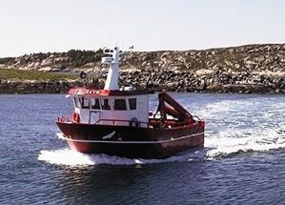 M/S «RAVN»