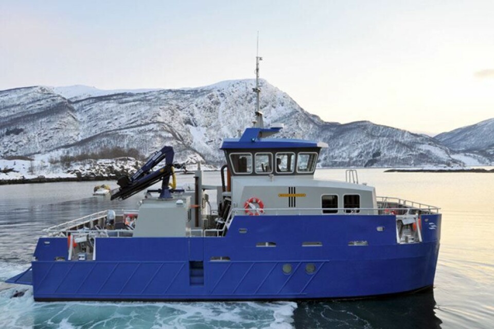 M/S «BORE CAT»