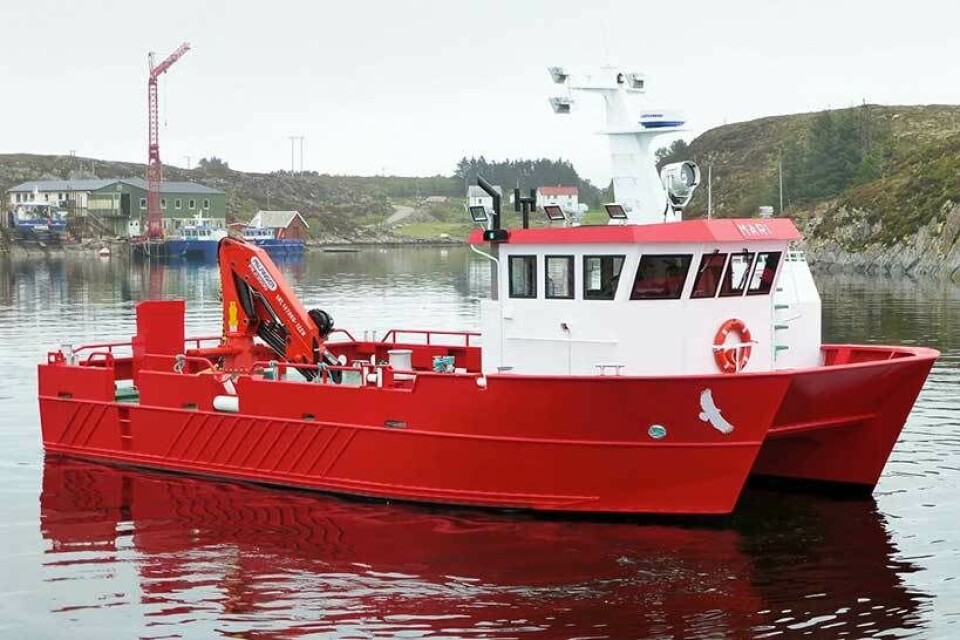 M/S «MARI»
