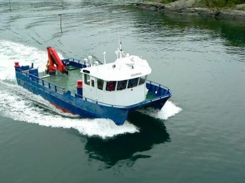 M/S «OSORNO»