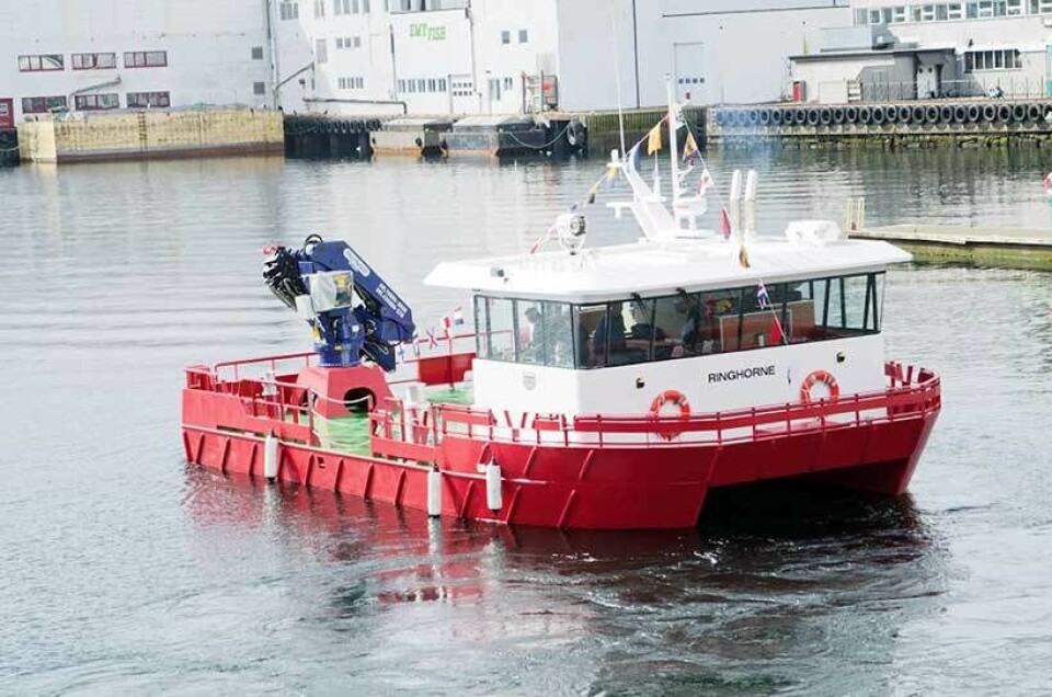 M/S «RINGHORNE»