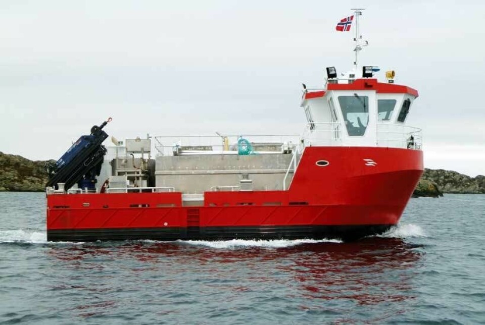 M/S «ETNA»