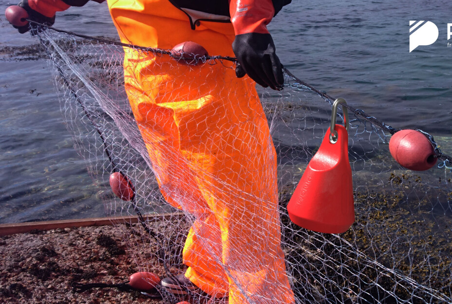 De nominerte til Innovasjonsprisen klare