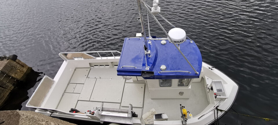 Ny sjark og flere hundre nye teiner