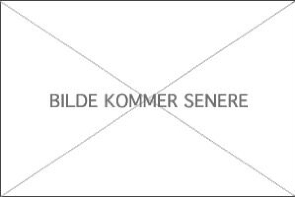 Aker Yards to build two ice-going container ships for Royal Arctic Line