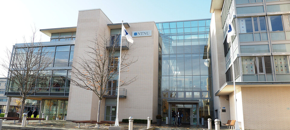 Flere søker seg til NTNU i Ålesund