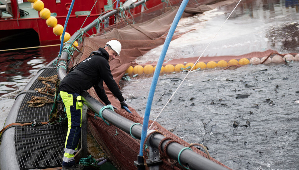 Redox og Proff Kulde inngår bløggebåtsamarbeid