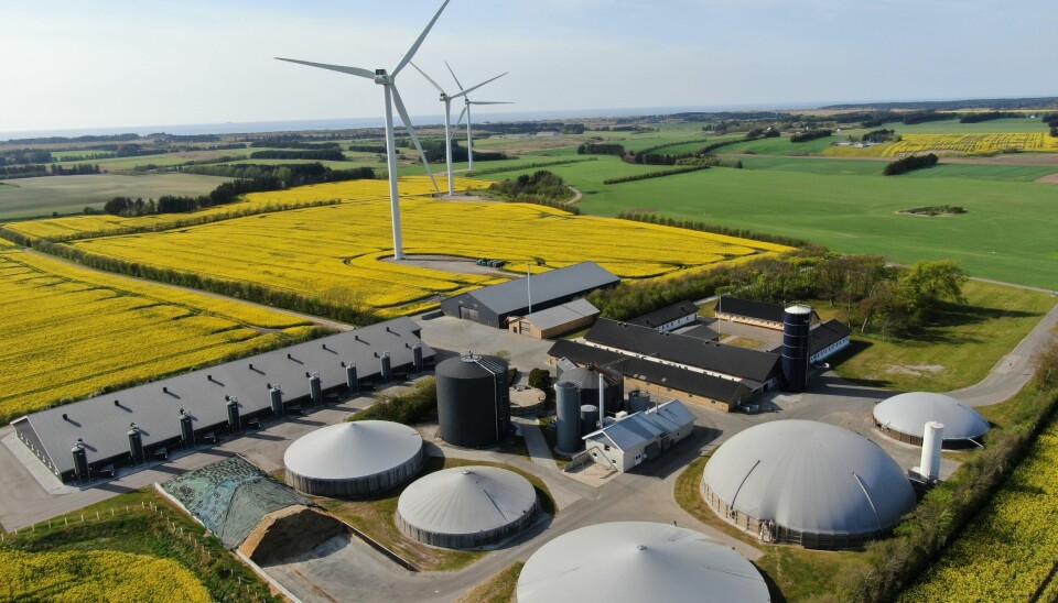 GrønGas eier og driver to biogassanlegg i den nordlige delen av Jylland i Danmark. GrønGas ble opprinnelig etablert i 2001 og eies i dag i et 50/50 partnerskap mellom Jens Peter Lunden og E.ON.