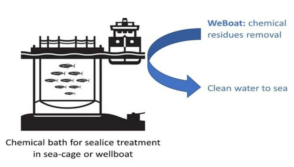 Vil nøytralisere lakselusmidler før utslipp fra brønnbåt