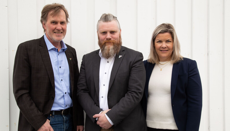 Kurt Atle Hansen, Jitse Buitink og Aase Refsnes fra Nordland SV mener at lønnsnivået er årsaken til mangelen på sjøfolk