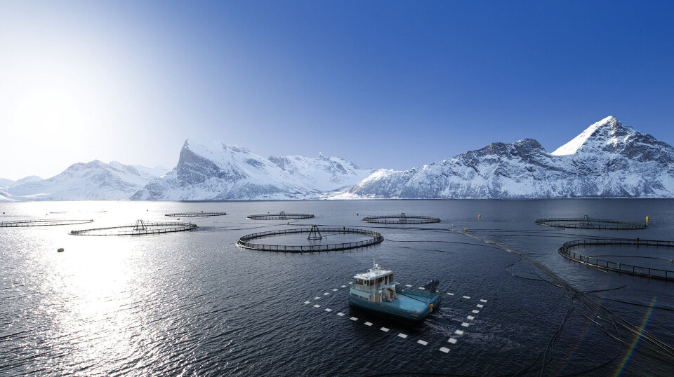 NES kjøper DP-leverandøren Undheim AS