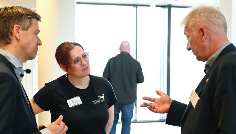 Sjøfartsdirektør Knut Arild Hareide, Alice Roseth Helleberg (Norges Kystfiskarlag) og Odd Rune Malterud (Det Norske Maskinistforbund) i samtale under møte i Maritimt Samarbeidsforum. Sjøfartsdirektør Knut Arild Hareide, Alice Roseth Helleberg (Norges Kystfiskarlag) og Odd Rune Malterud (Det Norske Maskinistforbund) i samtale under møte i Maritimt Samarbeidsforum.