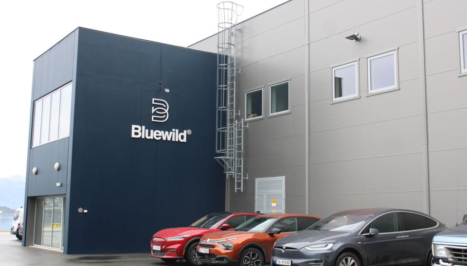 - It is no secret that we at Bluewild are taking a big risk in doing this, says Roaldsnes