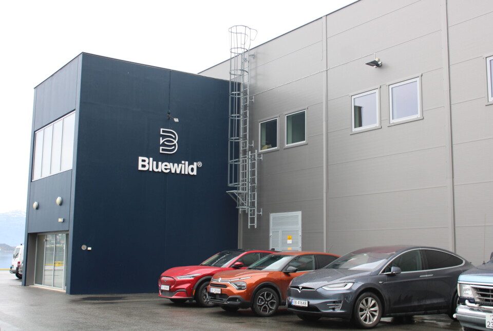-Det er ingen hemmelighet at vi i Bluewild tar en stor risiko ved å gjøre dette, sier Roaldsnes