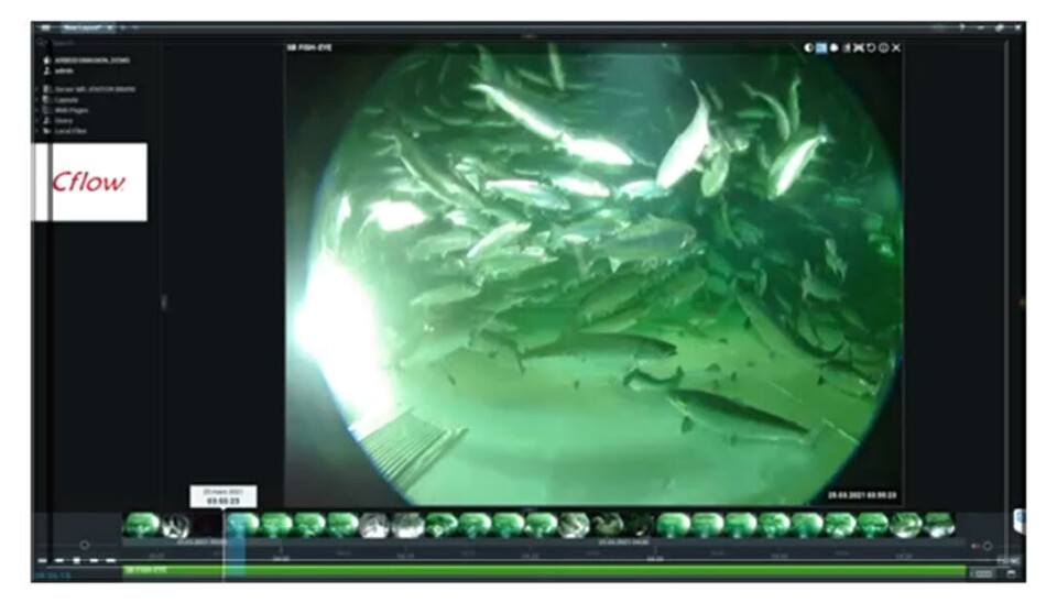 Camera in the Fish Spa to monitor the welfare of the fish