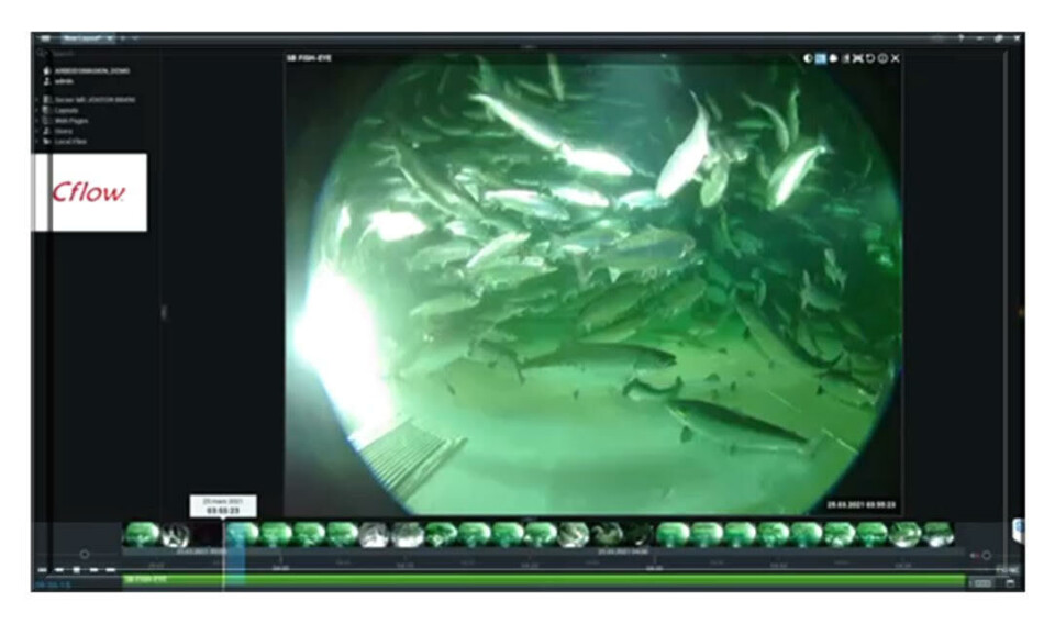 Fra fiskespaet til Cflow