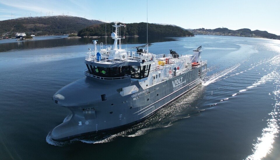 «Volt Harvest III» er den tredje bløggebåten som Fitjar Mek bygger for Volt Service. De to andre ble levert i henholdsvis 2021 og 2022.