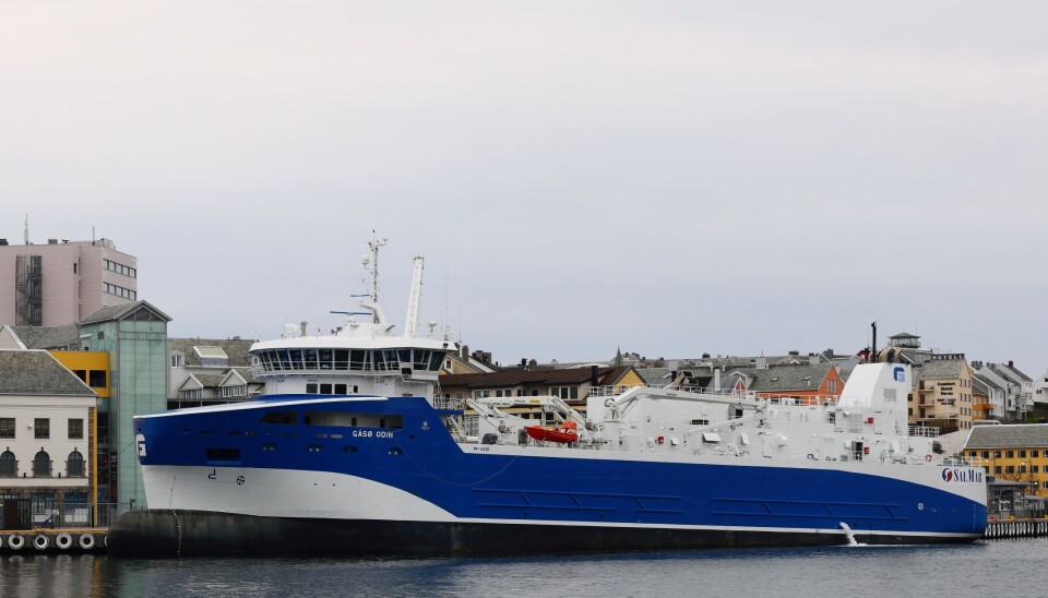 «Gåsø Odin» er lengre og smalere enn «Gåsø Høvding» som ble levert fra Sefine i 2022