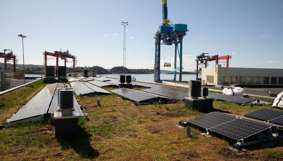 Oslo Havn har allerede installert solcellepaneler på Skur 84 (bildet) og på Yilports administrasjonsbygg på Sjursøya. I fremtiden kan havnene selge strøm til leietakere på tvers av gårds-og bruksnummer.