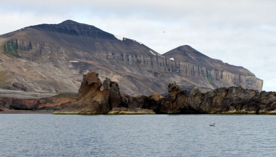 Bjørnøya naturreservat strekker seg én nautisk mil fra land.