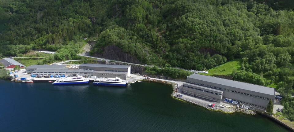 Ny start for Brødrene Aa i Hyen
