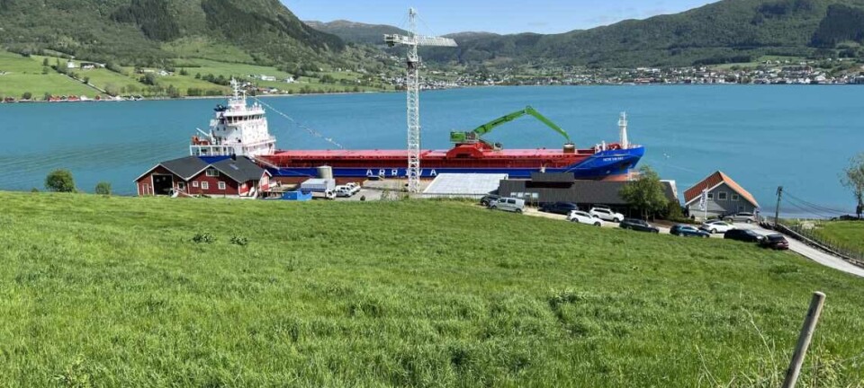 Fetterne er tredje generasjons redere