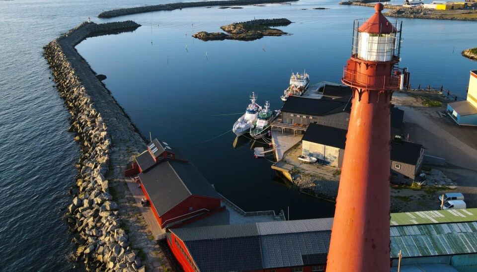 Trygg innseiling og havn er viktig både for sjømatnæringen og lokalbefolkningen i nord. Her fra fiskerihavnen i Andenes. Trygg innseiling og havn er viktig både for sjømatnæringen og lokalbefolkningen i nord. Her fra fiskerihavnen i Andenes.