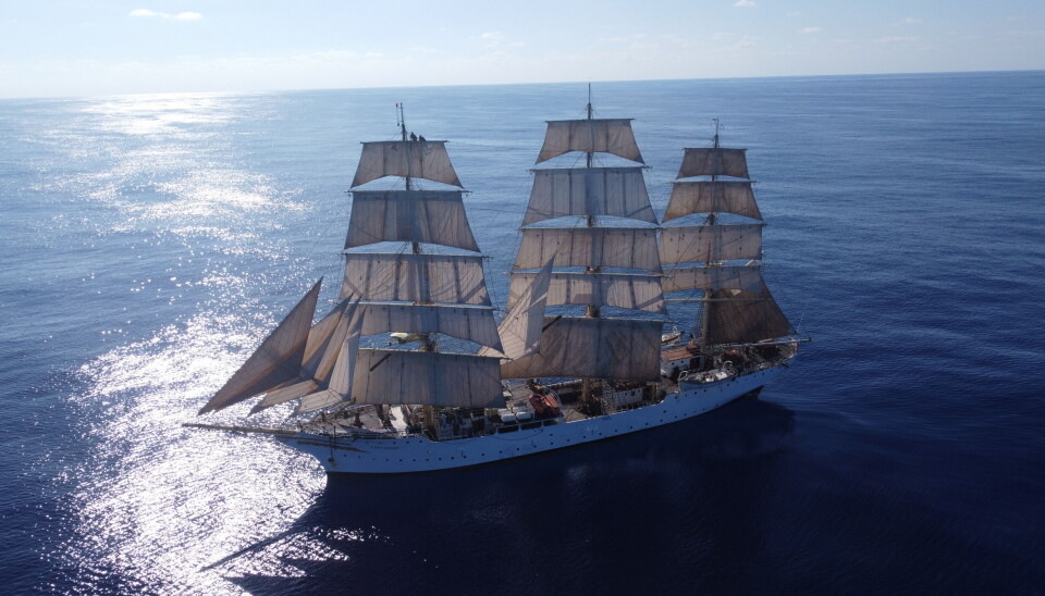 Stiftelsen «Sørlandet» fortviler etter at forslaget til statsbudsjett ble lagt frem fredag.