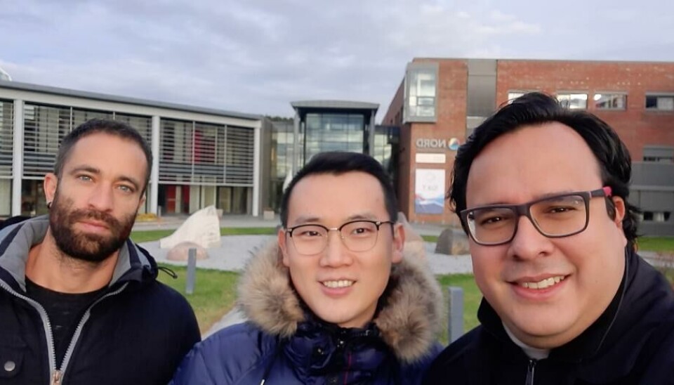 Forskerne bak resultatene: (f.v) Chica, M; Lin, N.; Hermann, RR.