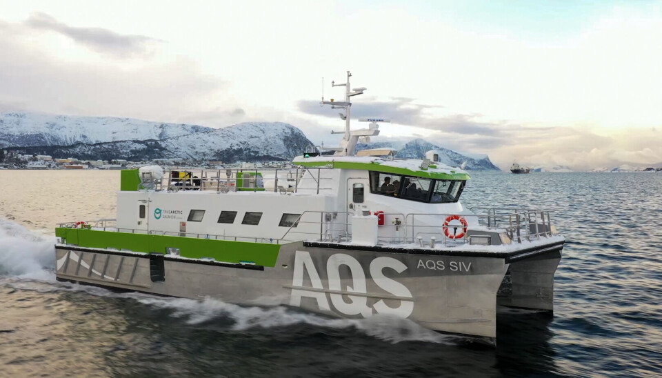 «AQS Siv» blir omtalt som kystens heftigste dykkerbåt.
