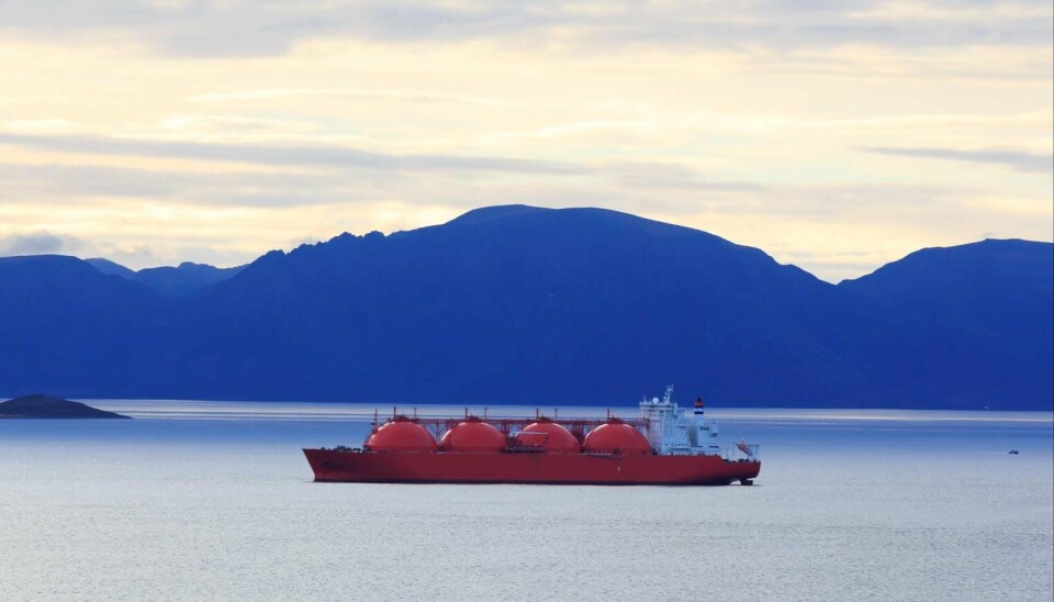 Maritim klynge i stormens øye