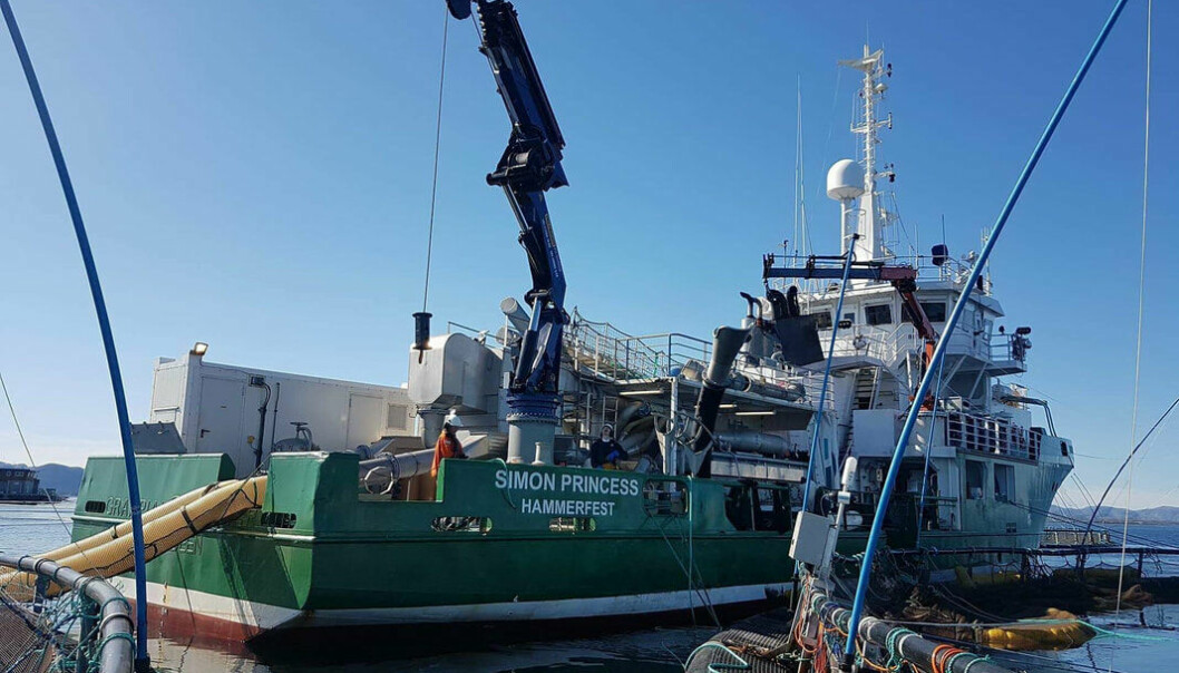 Finnmark Brønnbåtrederi sitt fartøy «Simon Princess» er vesentlig oppgradert, for å være best mulig rustet for å håndtere effektiv fjerning av lakselus.