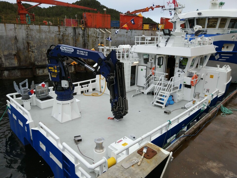 «Reidar Viking» er den ferske arbeidskatamaranen til Arnøy laks, og skal ha mye bedre løftekapasitet enn de eldre fartøyene til oppdretteren. Foto: Sletta Verft.