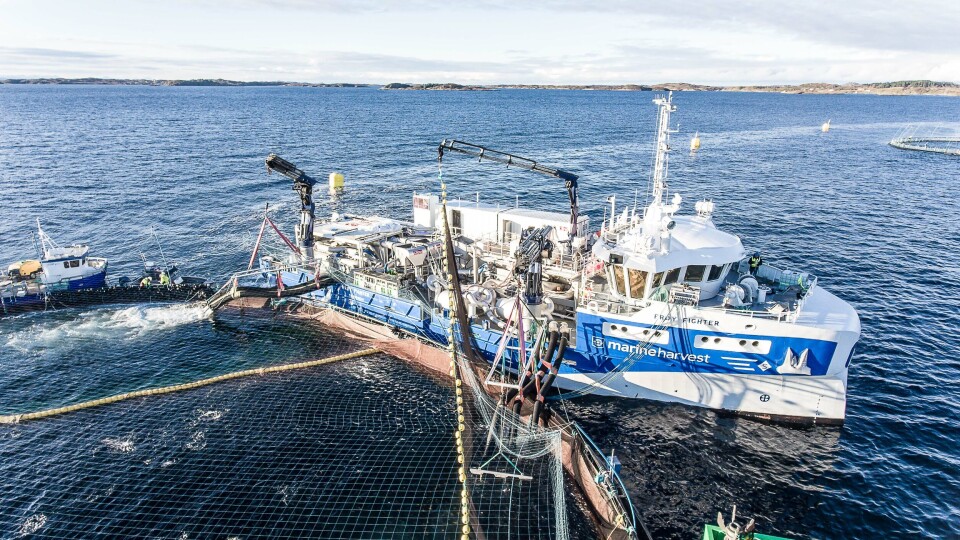 Frøy Akvaservice har hatt en god aktivitet i 2017, noe som har overrasket selskapet. Driftskoordinator i Frøy Akvaservice Andreas Krogstad, sier de trodde de skulle bli en magrere start på året, men er fornøyd med at det er høy aktivitet. Foto: Frøy Akvaservice.