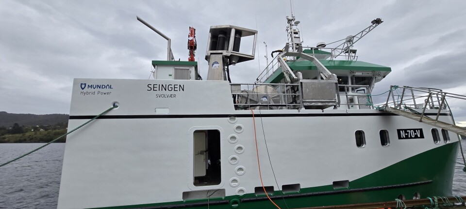 MS «Seingen»