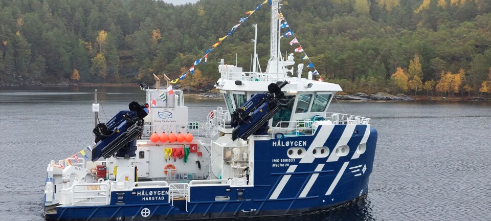 MS «Håløygen»