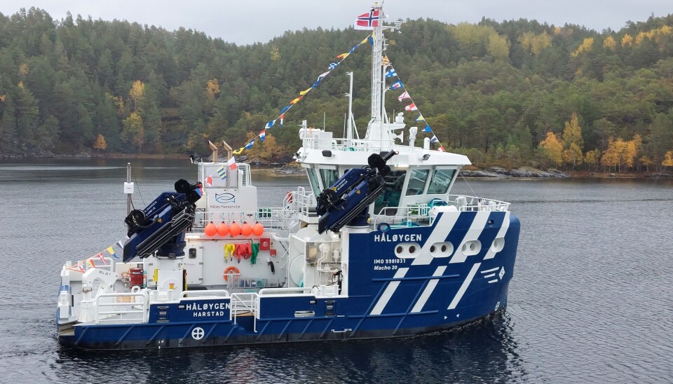 «Håløygen» er det nyeste tilskuddet til Håløy Havservice sin flåte.