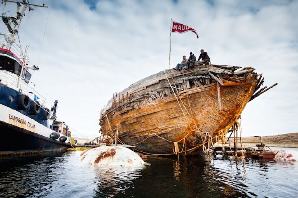 Her er 'Maud' over vannlinjen igjen Foto med tillatelse: Maudreturnshome.no