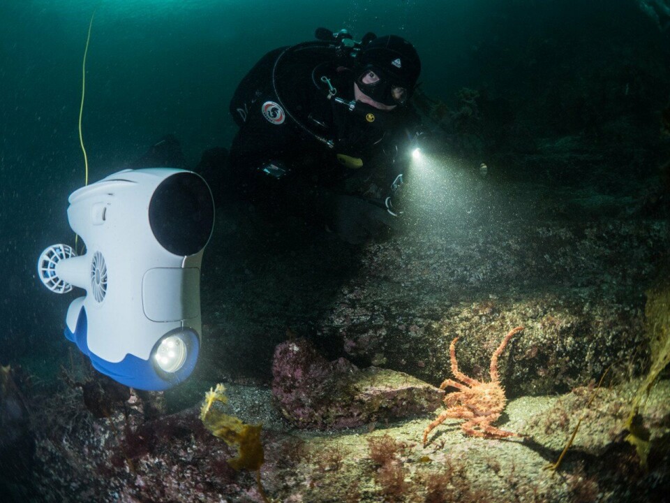 Illustrasjonsfoto: Bluete Robotics
