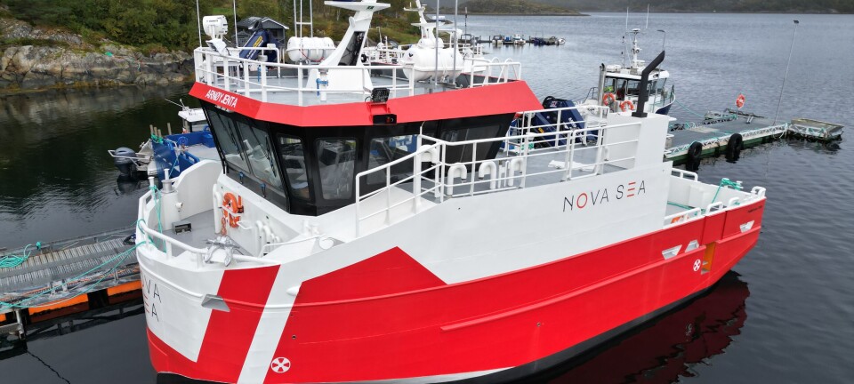 MS «Arnøyjenta»